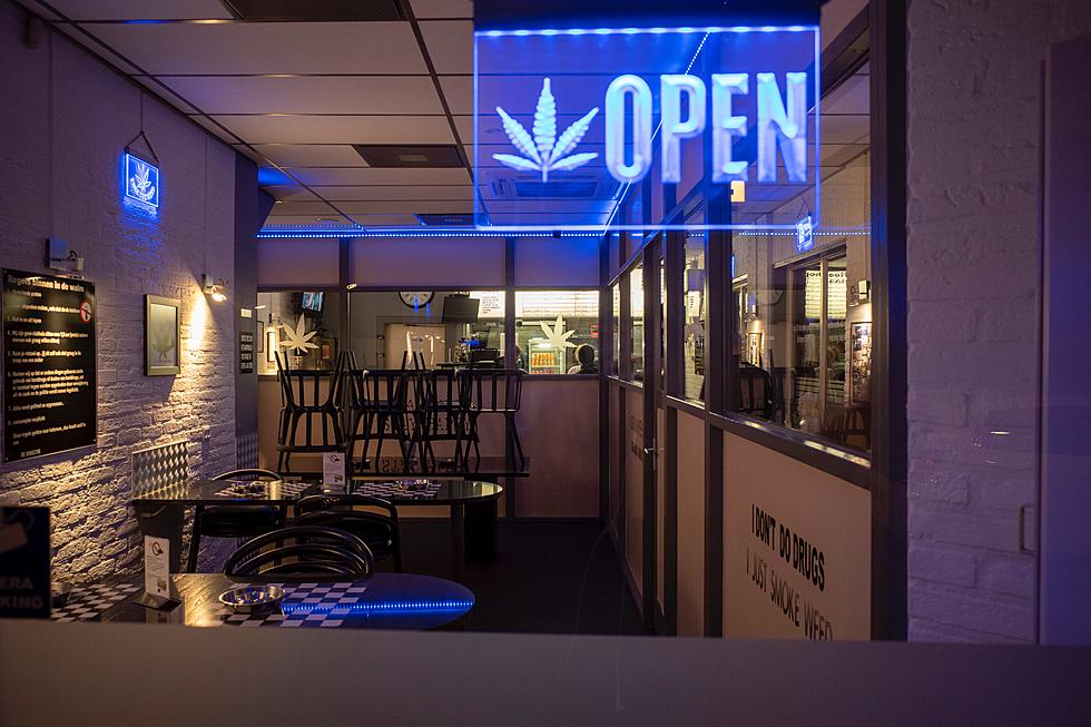 Introduction to Cannabis – The Dos and Don’ts of Marijuana