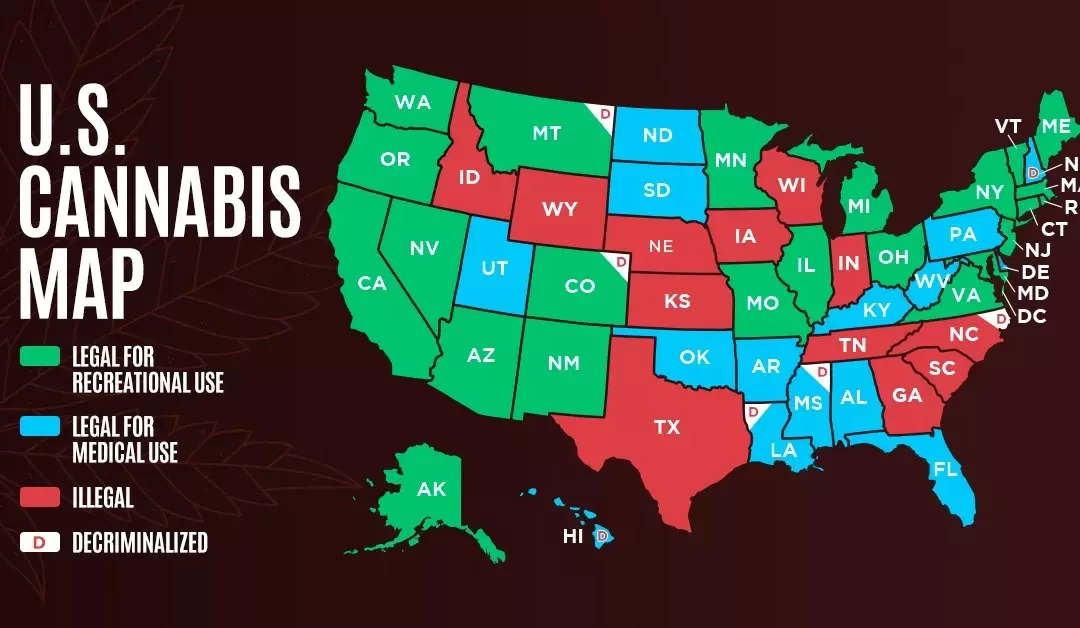 Transitioning from Medical to Legalized Recreational Cannabis