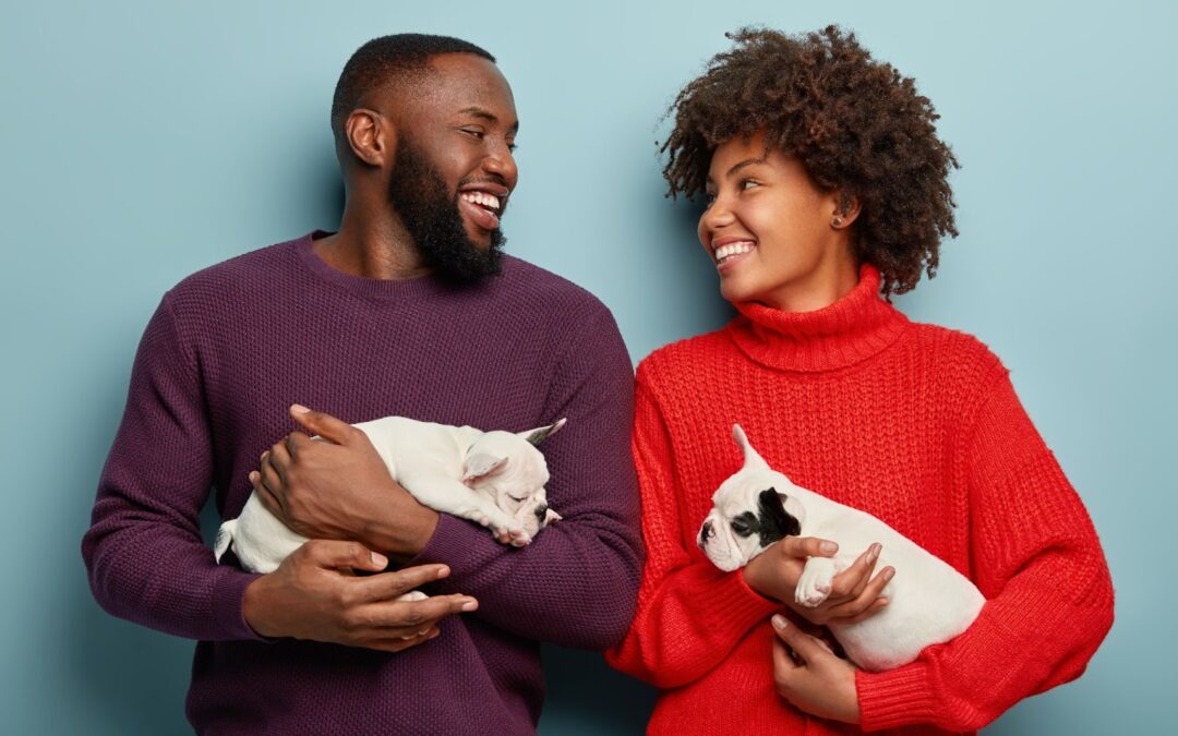 3 Game-Changing Pet Industry Trends, And Why Content Is Key