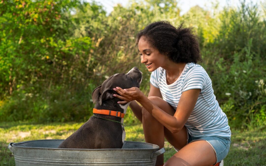3 Common Pet Brand Content Pitfalls And How to Fix Them