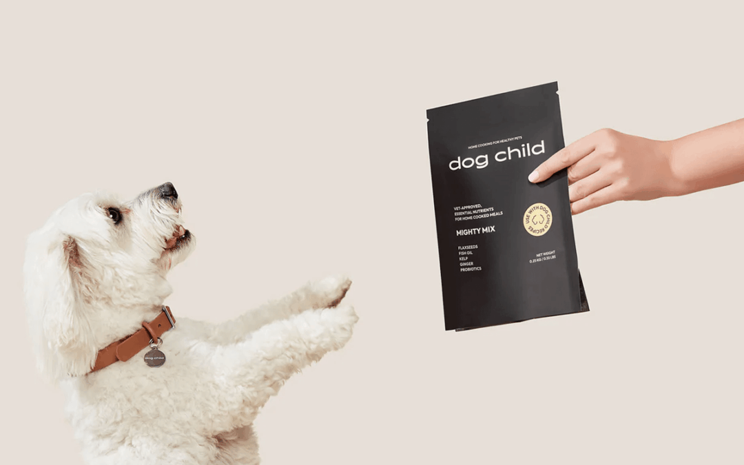 How My Pet Grocer Scaled Content and Boosted Growth