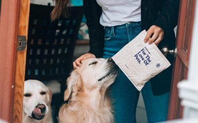 What Your Vet Wishes You Knew About Pet Nutrition