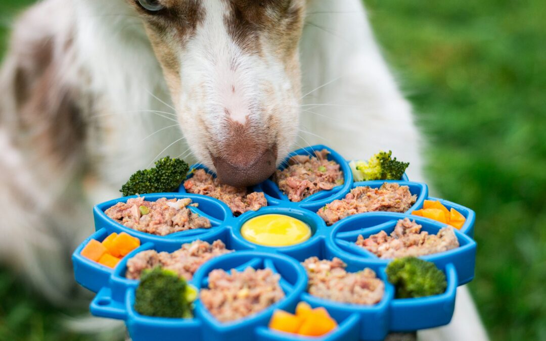 Why ‘Humanization’ in Pet Food Is Only Half the Story